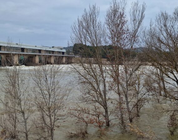 Ebro en Mequinenza