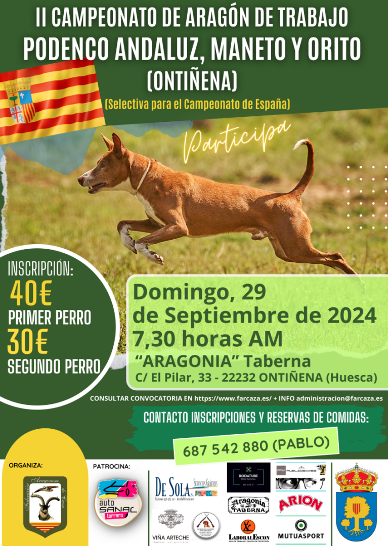 Podenco