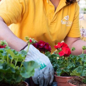 Valentia Emplea Jardineria