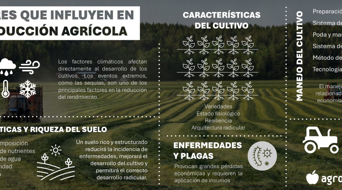 Esta es la infografía que explica los factores que influyen en la calidad de frutas y verduras