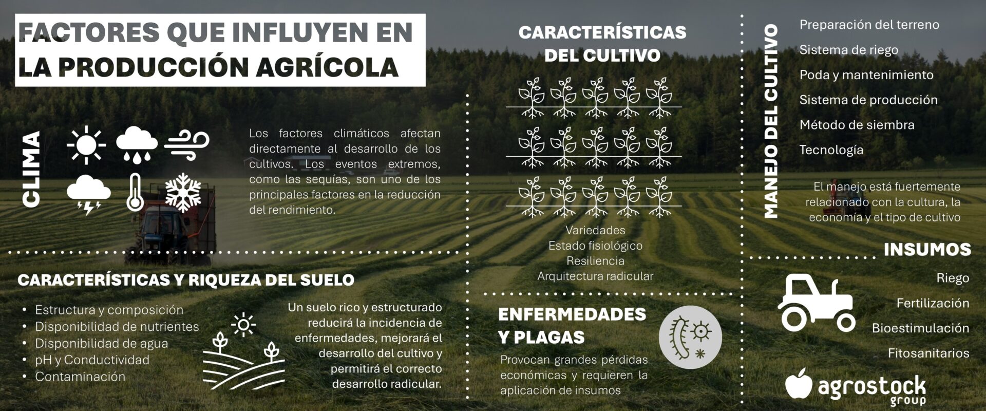 infografia