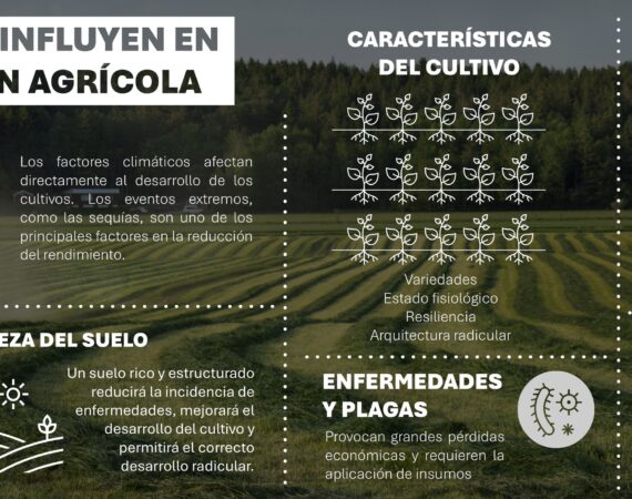 infografia