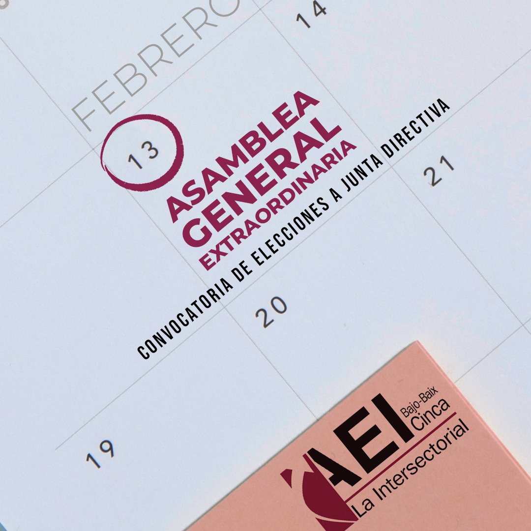 Asamblea Intersectorial