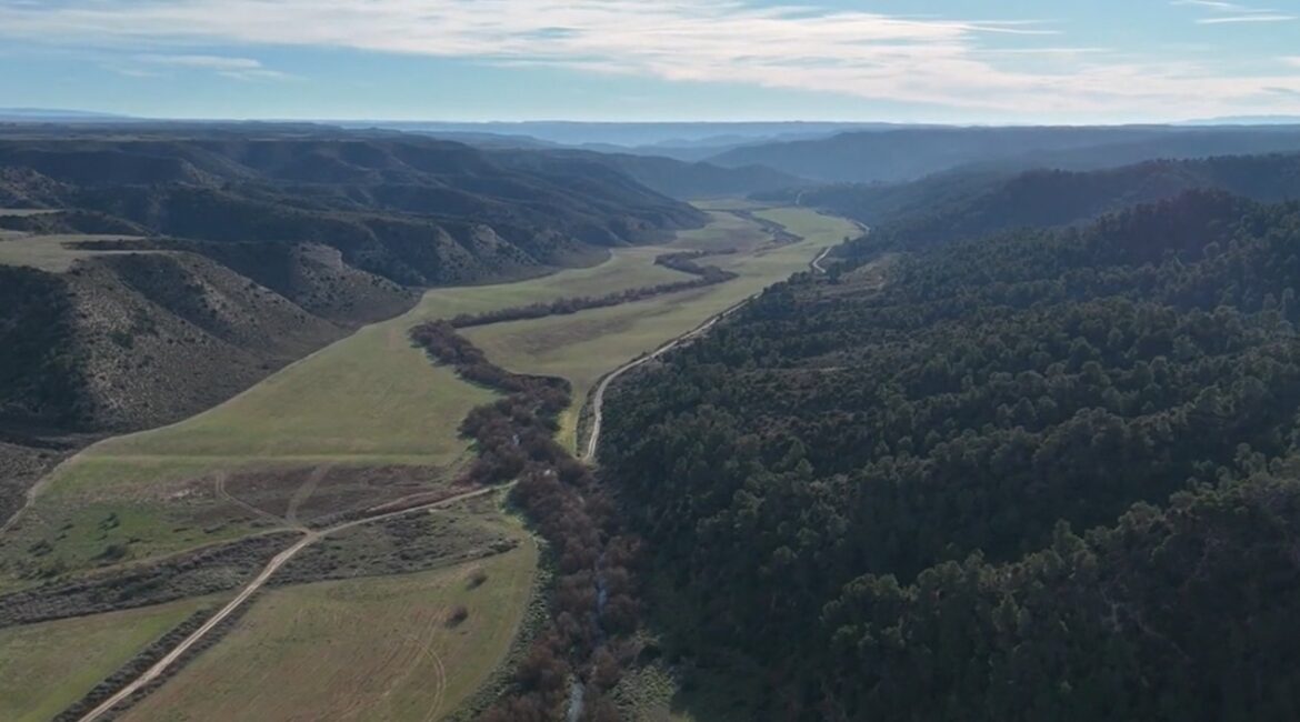 El espectacular bosque entre Fraga y Candasnos que ha conquistado Aragón TV