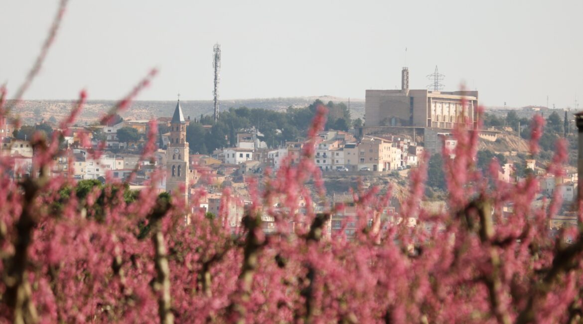 La floración en el Bajo/Baix Cinca prevé acoger a más de 1.200 personas