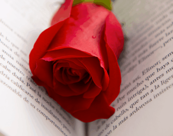 Dia del Libro